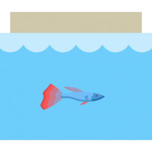 FISH AQUARIUM